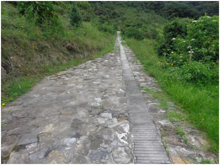 Sendero de la Agroforestería 